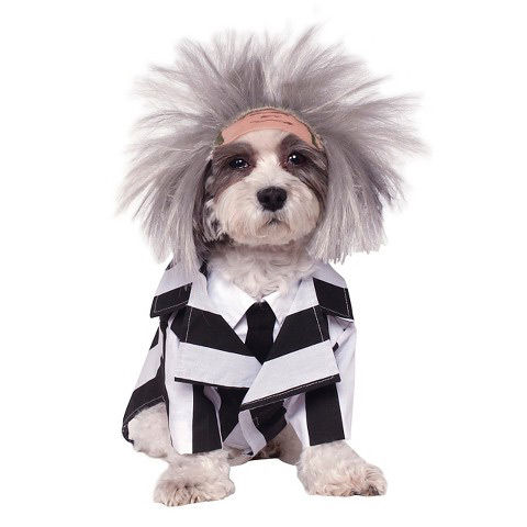 Top Pet Costumes